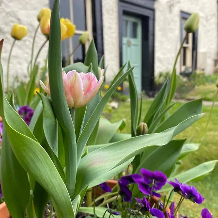 格鲁夫之家住宿加早餐旅馆 4* 莱伯恩