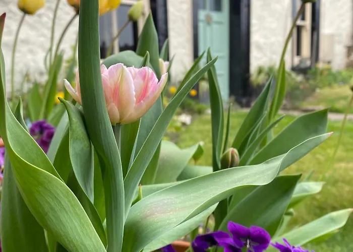 Grove House 4* Leyburn