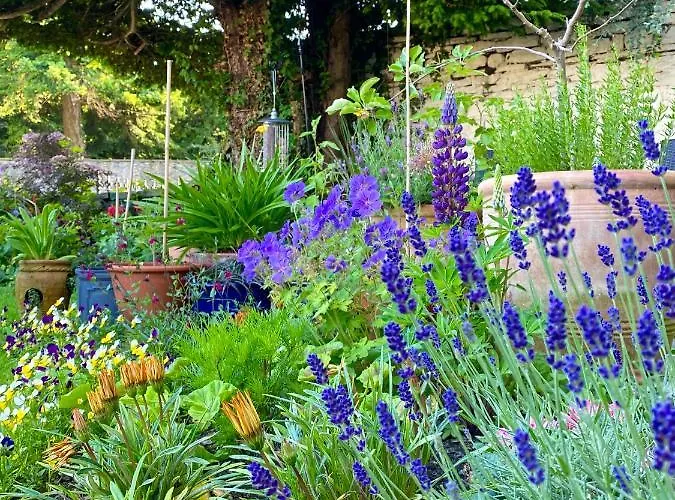 Bed & Breakfast Grove House Leyburn