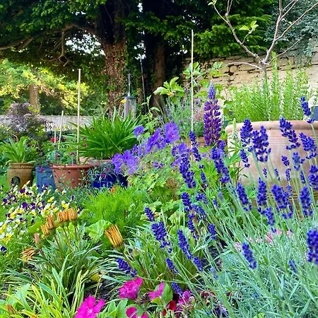 Couette-café Grove House Leyburn